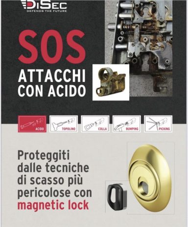 Logo with a lock and tools, promoting protection against break-in techniques.